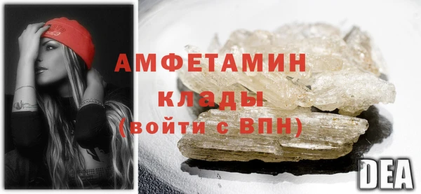 амф Ельня