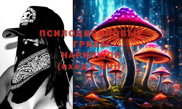 твердый Елабуга