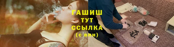амф Ельня