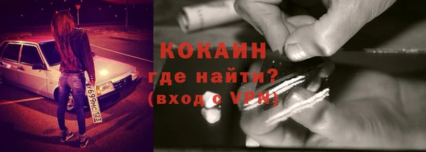 амф Ельня