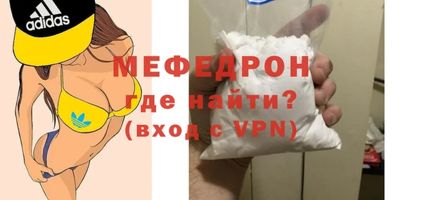 амф Ельня