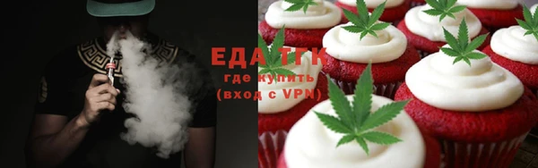 амф Ельня