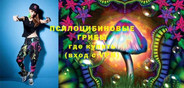 амф Ельня