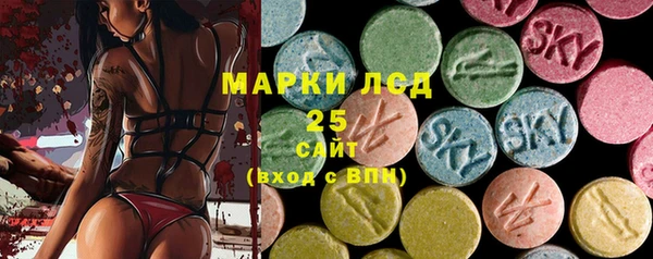 амф Ельня