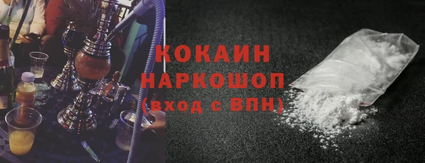 амф Ельня
