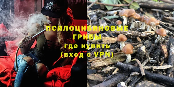 амф Ельня