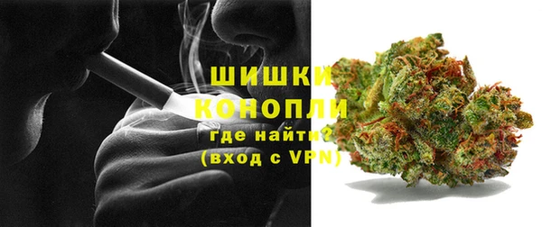 амф Ельня