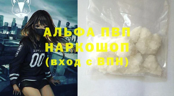 амф Ельня
