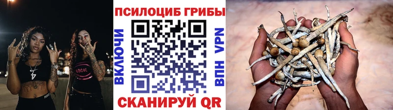 Галлюциногенные грибы Cubensis  Купить  Лянтор 